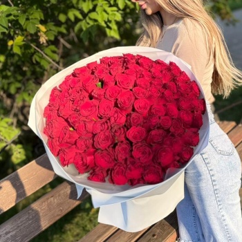 Акция! Букет из 101 красной розы 50 см.